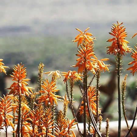 Cortijo El Paraiso Los Escullos Exteriér fotografie